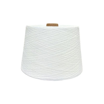 High Raw Color T-Shirt Garne Polyester Mono Tfo 0,11Mm Vermischt 36F Schmelze