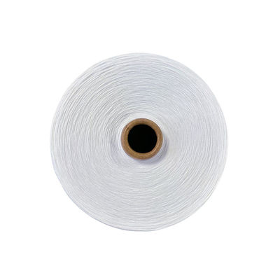 High Raw Color T-Shirt Garne Polyester Mono Tfo 0,11Mm Vermischt 36F Schmelze